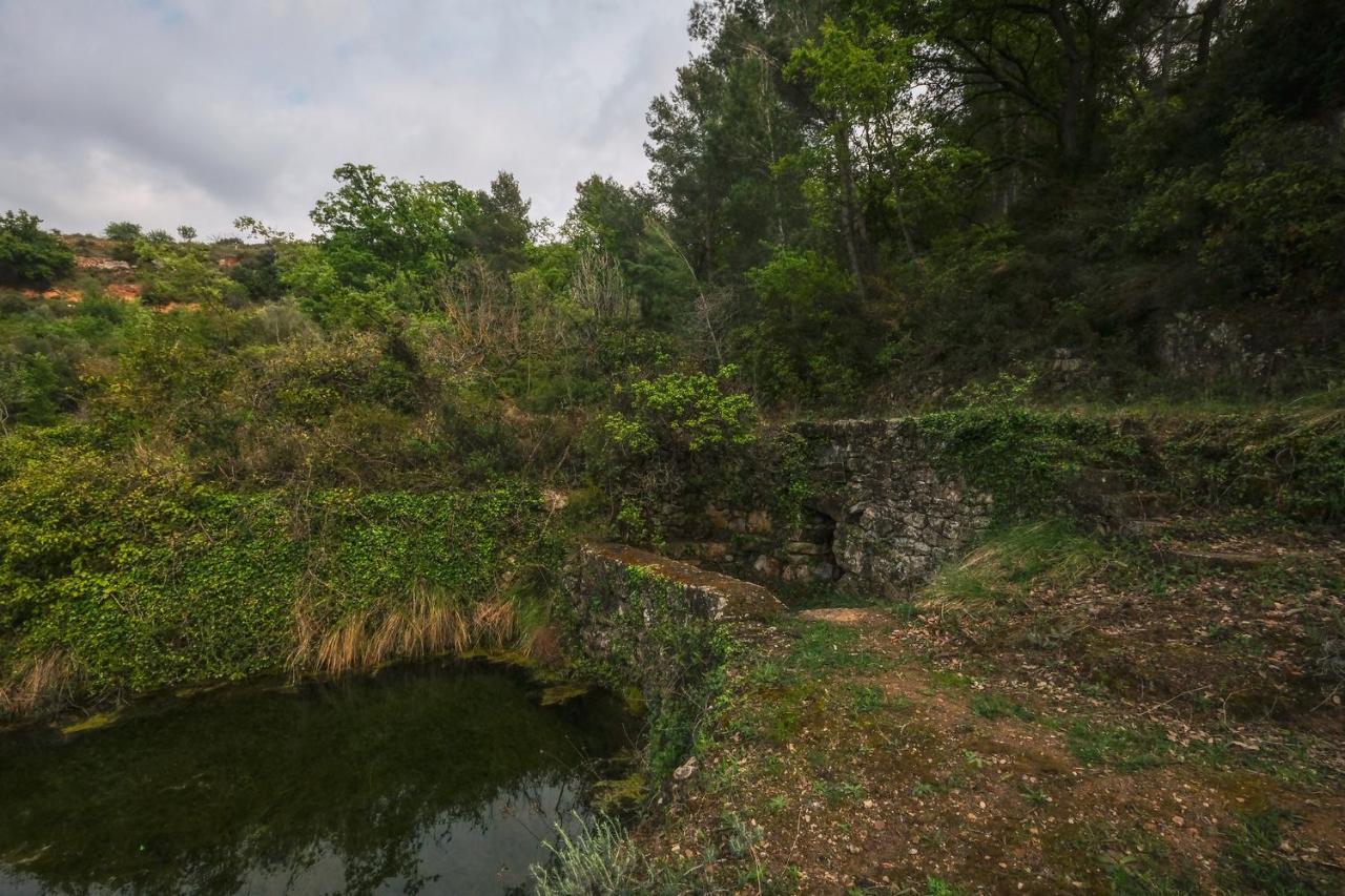 Gegant De Pedra
